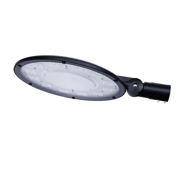 100 W LED sodo lemputė