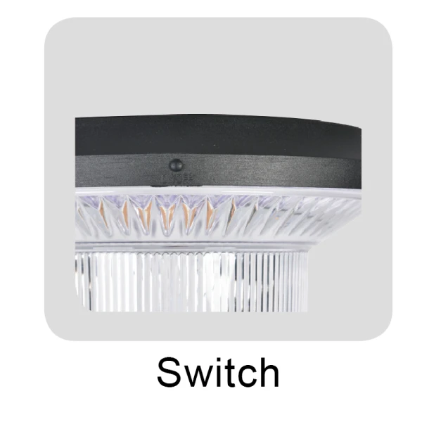 Best Solar Garden Lights